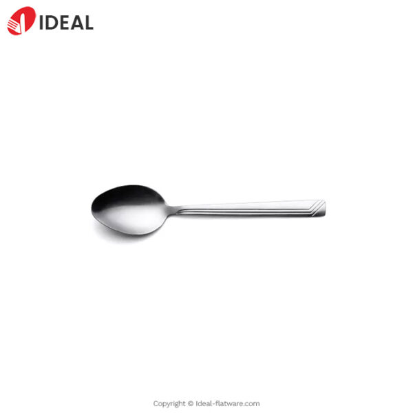 Stainless steel spoon