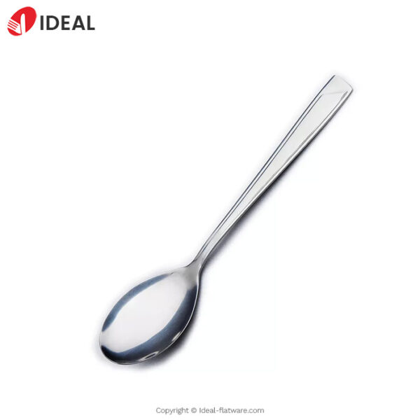 Stainless steel spoon