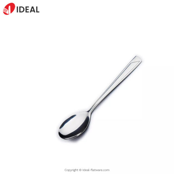 Stainless steel spoon