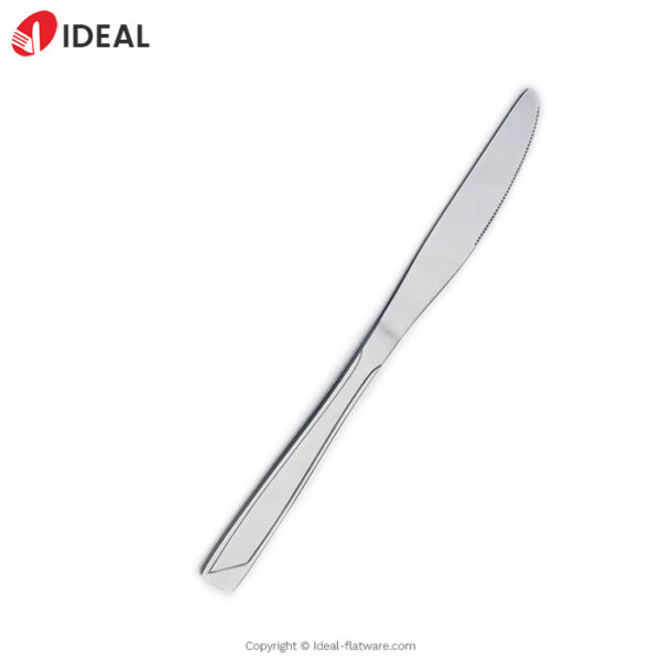 Stainless steel knife